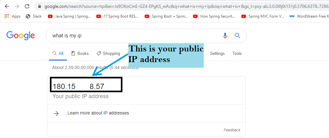 How to check my public IP